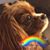 Linda Heuman Calimer's profile image