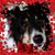 Renee Friedhofer's profile image