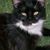 Arnold Miller's profile image