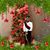 Gicela Razo's profile image