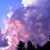 Luana Taylor's profile image