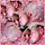 Sandy Tatum Bendo's profile image