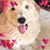 Pam Poirrier Bunn's profile image