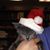 Holladay Strickland's profile image