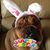 Kaye Walker Meyers's profile image