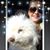 Claudia Garcia Beltran's profile image