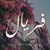 Feryal Shasheat's profile image