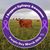 Julie Tomecek Huber's profile image