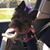 Sandy McCammack's profile image
