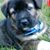 John Kinsey's profile image