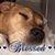 Kelly Goodnow's profile image