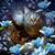 Mae Reedy's profile image