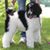 Traci Taylor's profile image