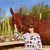 Ellen Tuttle's profile image