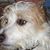 Joyce Skeldon's profile image