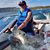 Thomas Tadlock's profile image