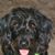 Karen Wagner's profile image