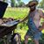 Tom Moser's profile image