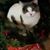 Barbara Patasce's profile image