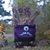A Maze-N-Pumpkinz's profile image