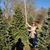 Maria Therese Barboni's profile image