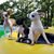 Cindi Dawn Rheinboldt's profile image
