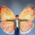Linda Lapetina Amettis's profile image