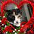 Tammy Stephenson's profile image