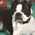 Barbara Bartholomew's profile image