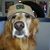 Gary Johns's profile image