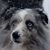 Deborah Kilander's profile image