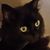 Alydar Kuniak's profile image
