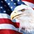 Tammy Ingham's profile image