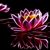 Tami Beavers's profile image