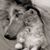 Donna McHale Michalec's profile image