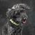 Audri Reutell Tarr's profile image