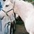 Corky Bluhm's profile image