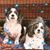 Tracey Stein Garrett's profile image