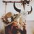 Liz Wach Green's profile image