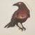 Claire Audrey's profile image