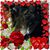 Sandra Hyle's profile image