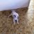ConnieMae Milam's profile image
