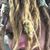 Chase Manhattan Watkins's profile image