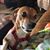 Lane Hamrick's profile image