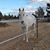 Marcia Grahn's profile image