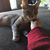 Christine Z Britt's profile image