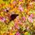 Stephanie Sengel Sherwin's profile image