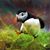 Joe Rimbey's profile image