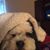 Sissy Bravo's profile image