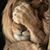 Tyran Williams's profile image